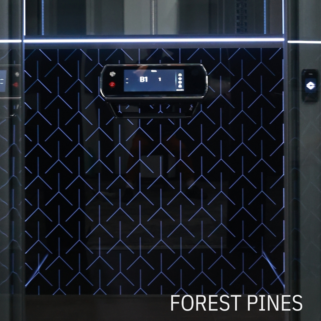 FOREST PINES